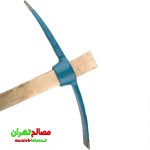 کلنگ دو سر آبی