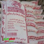 harir plaster02